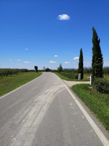 South Garda Easy Sunset E-Bike & Wine Tour - Local Wine and Culinary Delights