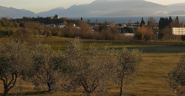 South Garda Easy Sunset E-Bike & Wine Tour - Tips for a Great Experience