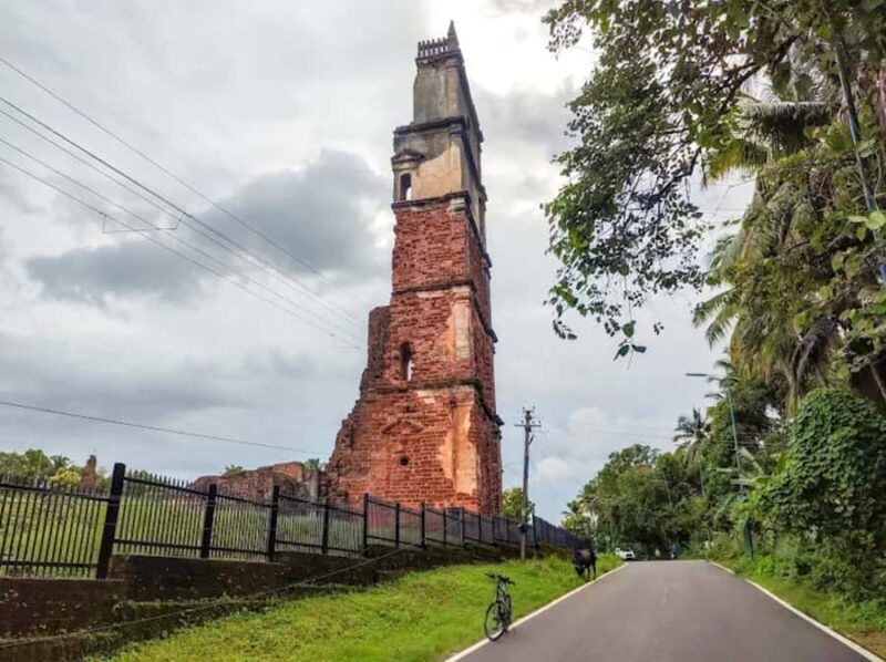 South Goa: Private Day Trip with Hotel Pickup - Authentic Experiences and Review Insights