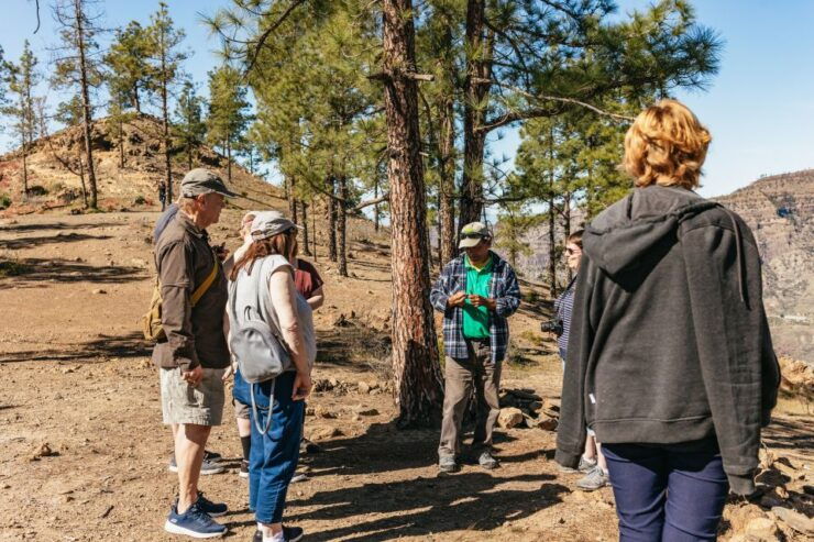 South Gran Canaria: Off-Road Valleys & Villages Jeep Tour - Experience