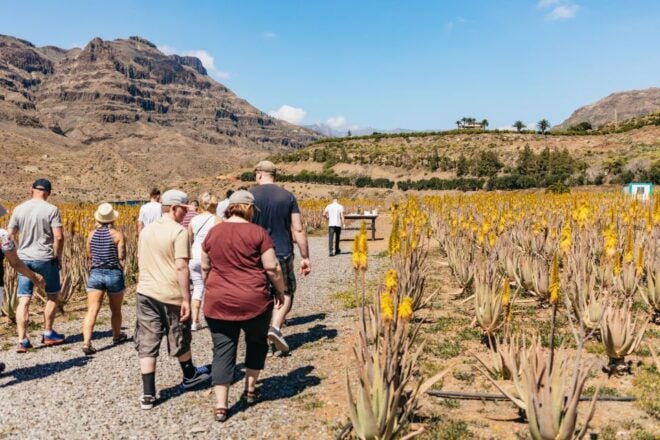 South Gran Canaria: Off-Road Valleys & Villages Jeep Tour - Highlights