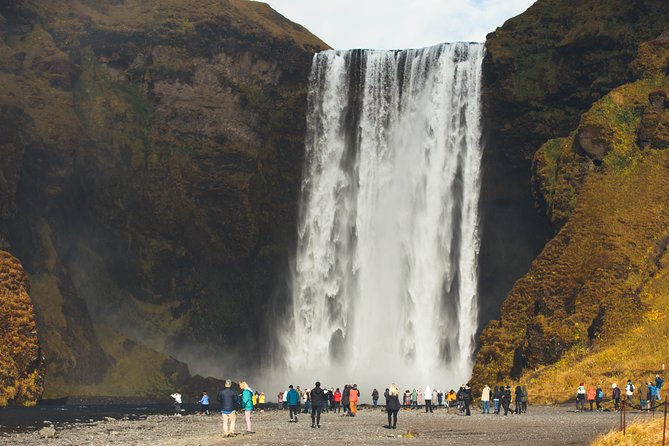 South Iceland Glaciers, Waterfalls and Black Sand Beach Day Tour From Reykjavik - Praise for Tour Guide and Driver