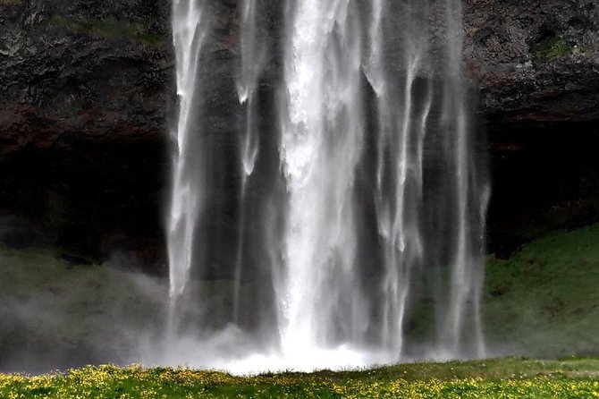 South Iceland Tour of Waterfalls, Black Sand Beaches & Dyrholaey - Experiencing Reynisfjara Black Sand Beach