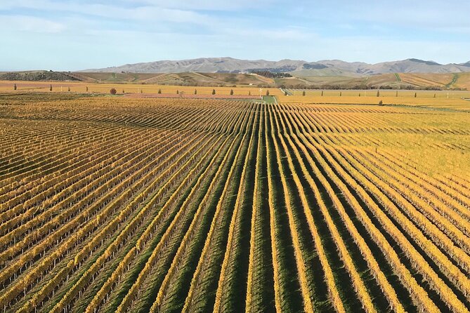 South Island Road Trip Delights: Custom Multi Day 14D : 13N - Meals Included