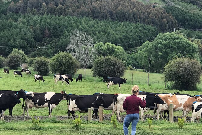 South Island Road Trip Delights: Custom Multi-Day 7D : 6N - Customized Tour Options