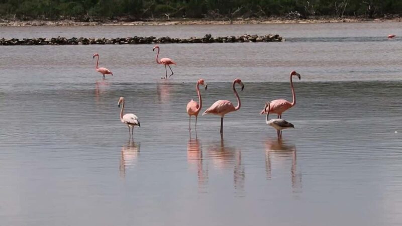 South Long Island 3 Hour Guided Land Tour - Discovering the Best of South Long Island in Three Hours