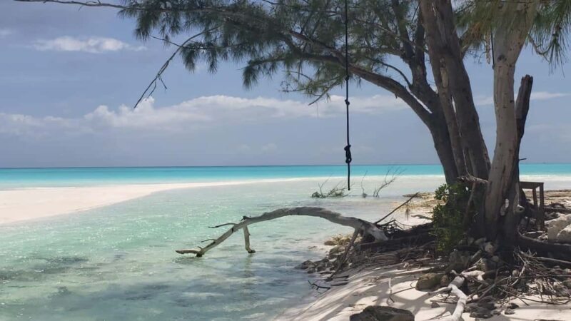 South Long Island 3 Hour Guided Land Tour - Breaking Down the Itinerary in Detail