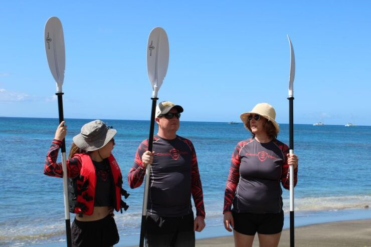 South Maui: Au'au Channel Kayak and Snorkel Adventure - Activity Details