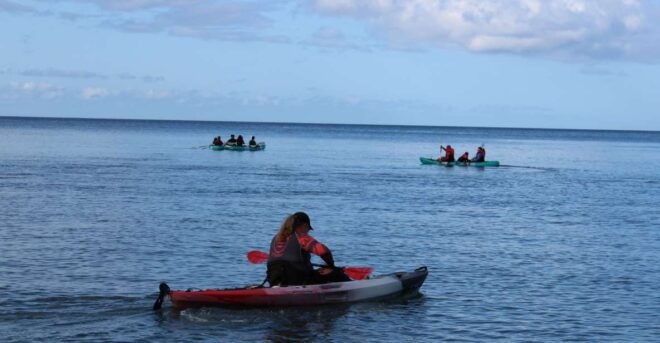 South Maui: Au'au Channel Kayak and Snorkel Adventure - Full Description