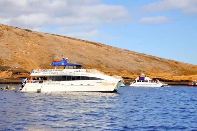 South Maui: Eco Friendly Molokini and Turtle Town Tour - Full Description