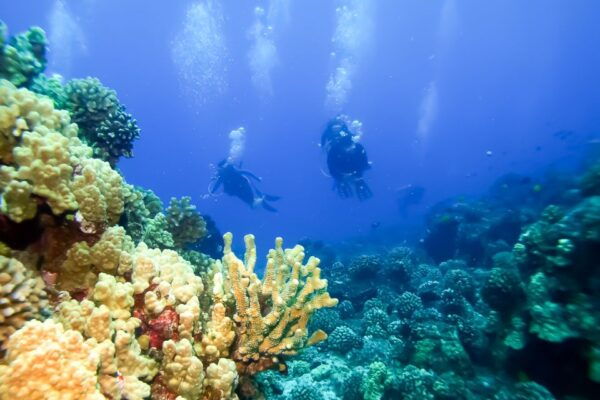 South Maui: Eco Friendly Molokini and Turtle Town Tour - Directions