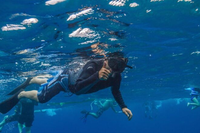 South Maui: Lanai Snorkel & Dolphin Watch From Maalaea - Customer Reviews