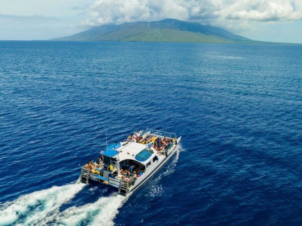 South Maui: Molokini and Turtle Town Snorkeling Tour - Common Questions