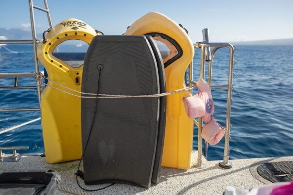 South Maui: Molokini and Turtle Town Snorkeling Tour - The Sum Up