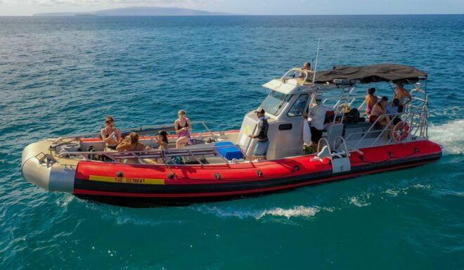 South Maui: Molokini Crater and Turtle Town Snorkeling Trip - Meet the Activity Provider