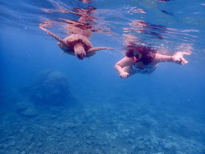 South Maui: Molokini Crater and Turtle Town Snorkeling Trip - Related Activities