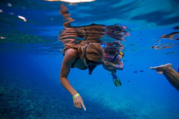 South Maui: Molokini Crater and Turtle Town Snorkeling Trip - Common Questions