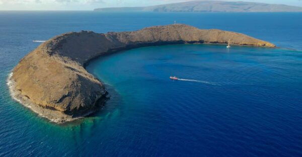 South Maui: Molokini Crater and Turtle Town Snorkeling Trip - The Sum Up