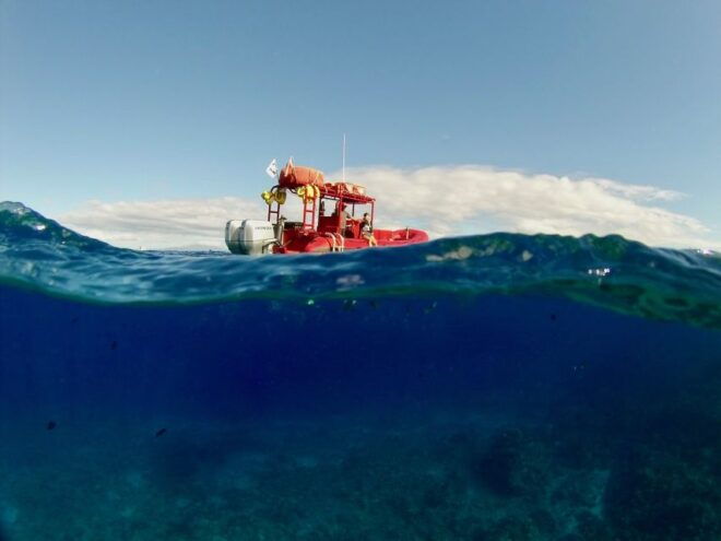 South Maui: Molokini Snorkel & Forbidden Coast Tour - Common Questions