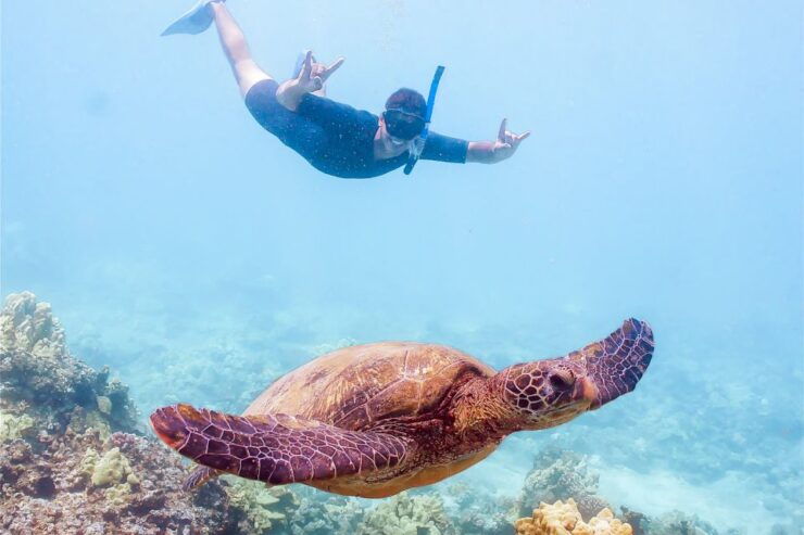 South Maui: Molokini Snorkeling Adventure - Experience Snorkeling at Molokini and Turtle Town