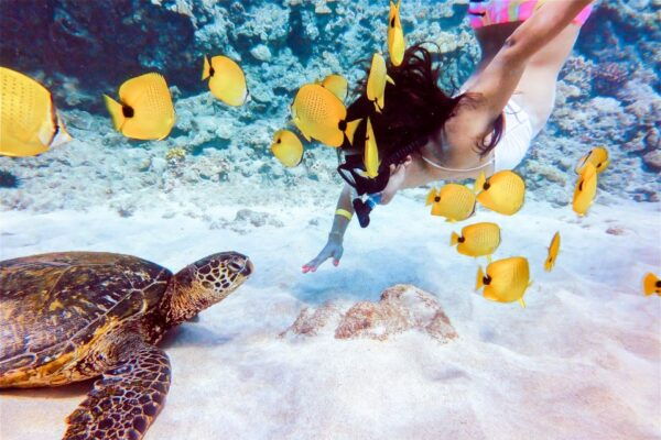 South Maui: Molokini Snorkeling Adventure - Common Questions