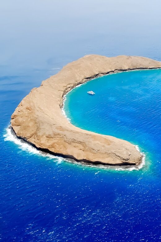 South Maui: Molokini & Turtle Adventure from Maalaea Harbor - Value for Money
