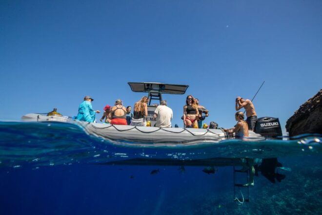 South Maui: Molokini Volcanic Crater Snorkeling Cruise - Customer Reviews
