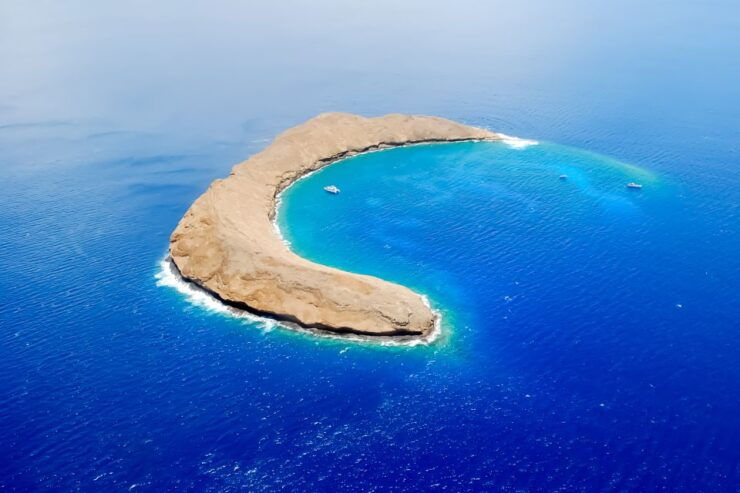 South Maui: Molokini Wild Eco Adventure From Maalaea Harbor - Good To Know