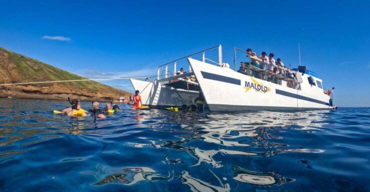 South Maui: PM Snorkel to Coral Gardens or Molokini Crater - Activity Details