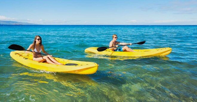 South Maui: Premium Turtle Town Kayak and Snorkel Tour - Highlights
