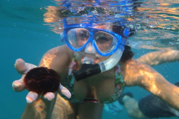 South Maui: Premium Turtle Town Kayak and Snorkel Tour - Common Questions