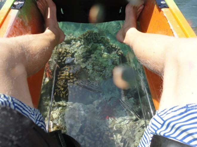 South Maui: Self Guided Clear Bottom Kayak Tour - The Sum Up