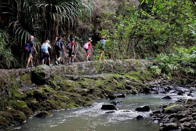 South Maui: Waterfall Tour W/ Kayak, Snorkel, and Hike - Experience Kayaking in the Ocean