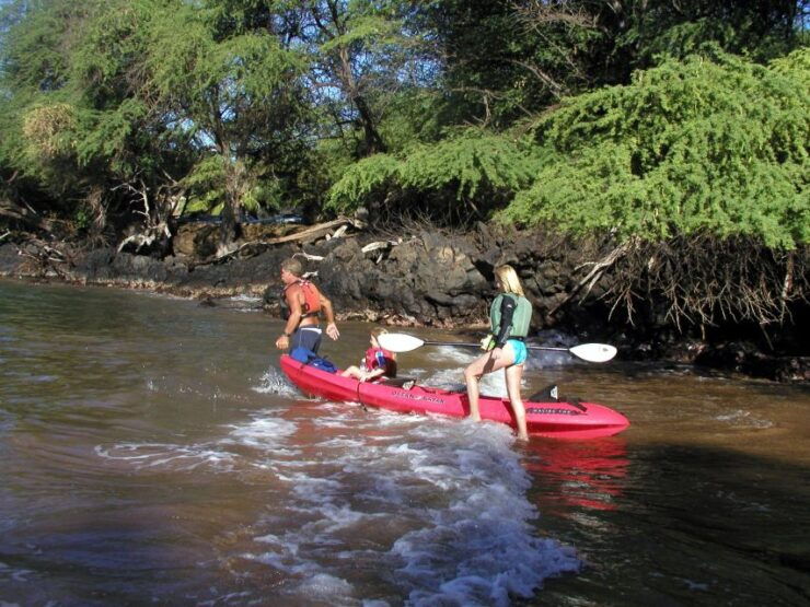 South Maui: Whale Watch Kayaking and Snorkel Tour in Kihei - Experience