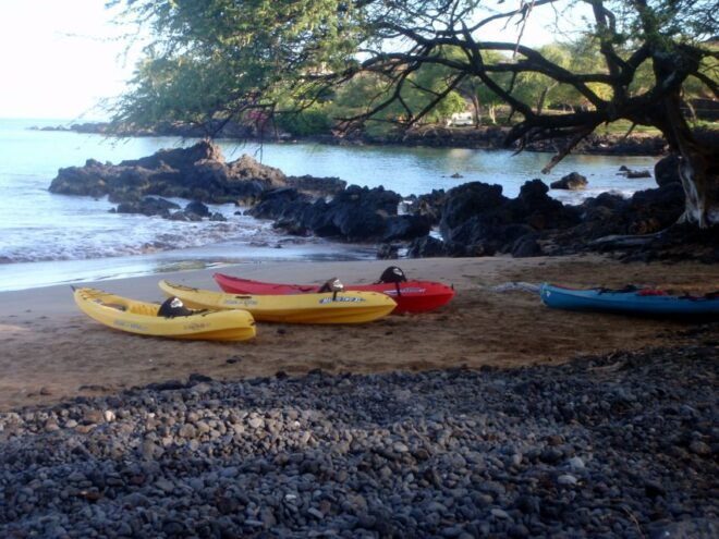 South Maui: Whale Watch Kayaking and Snorkel Tour in Kihei - Customer Reviews