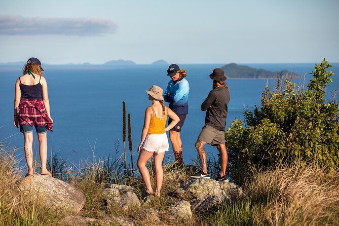 South Molle Island Camping Transfer - Pricing and Booking Information
