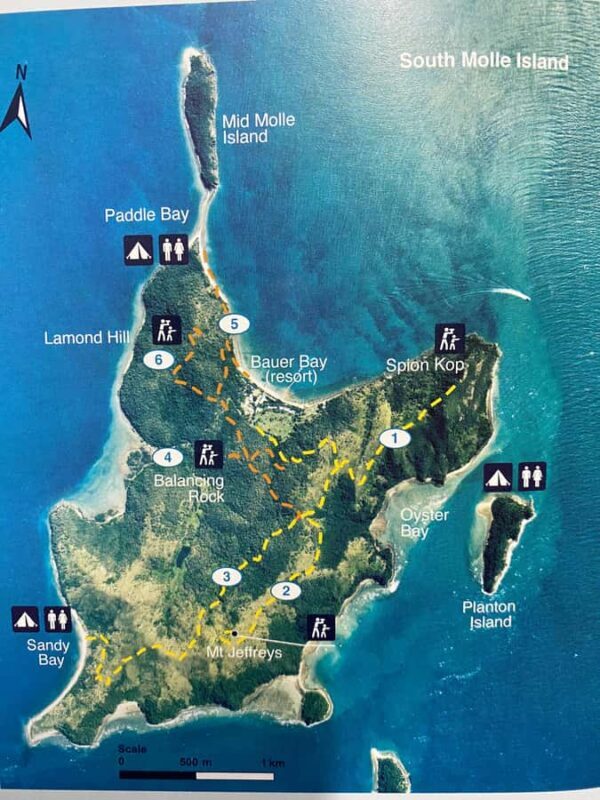 South Molle Island Self Guided Walking Tour - What Is the South Molle Island Self-Guided Walking Tour?