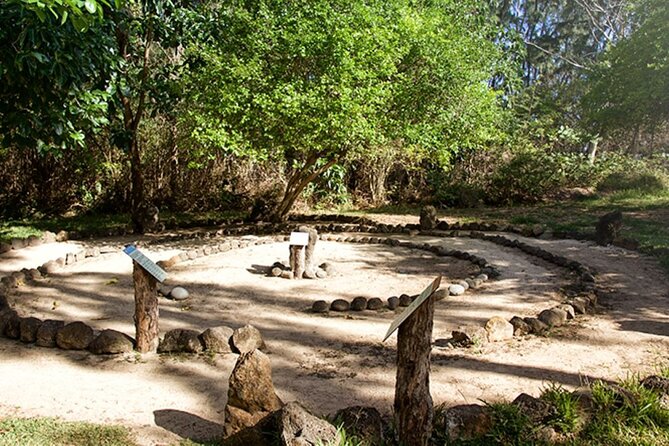 South Nature Immersion in Mauritius - Meeting and Pickup