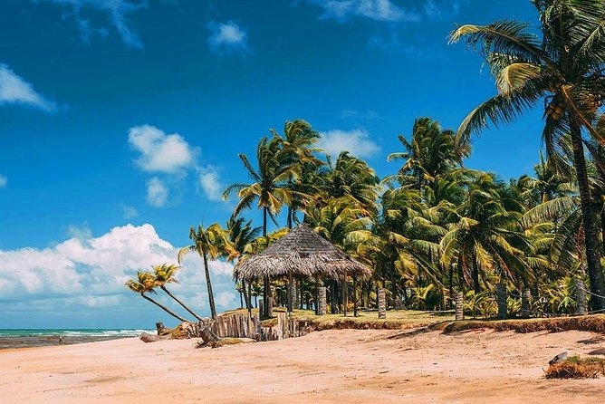 South of Bahia Tour - Private Multi Day Tour - Pickup Details