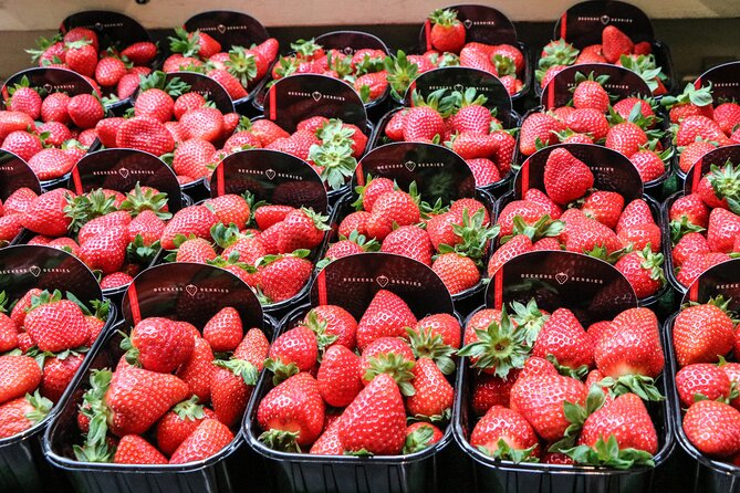 South Pigalle Food Tour Small Group: The Cool Apéro Tour in Paris - The Sum Up