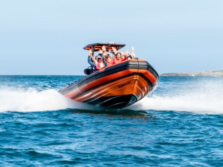 South Route: Dolphin Watching - Good To Know