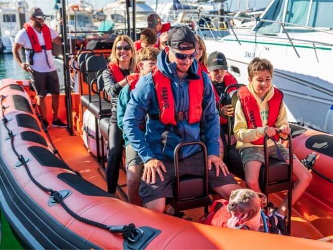 South Route: Dolphin Watching - Language Options