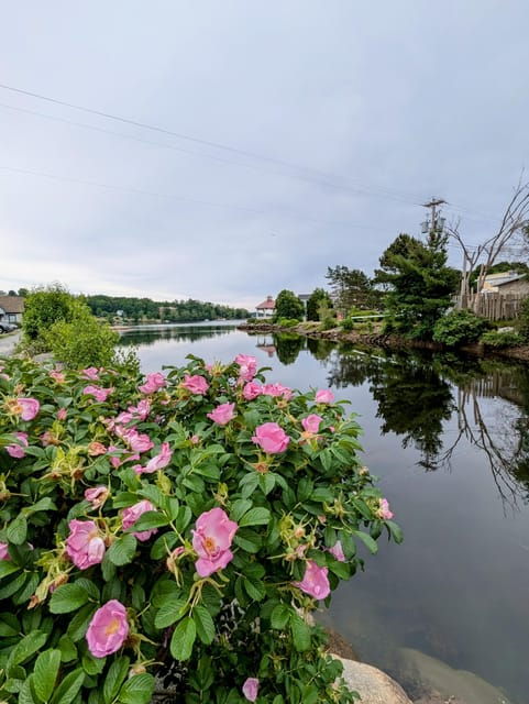 South Shore Adventure Tour From Halifax - Lunenburg