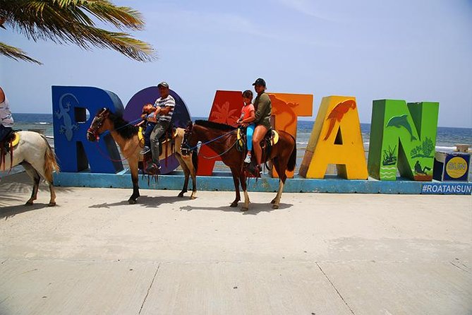 South Side Horseback Riding, Beach Break & Roundway Transfer - Good To Know