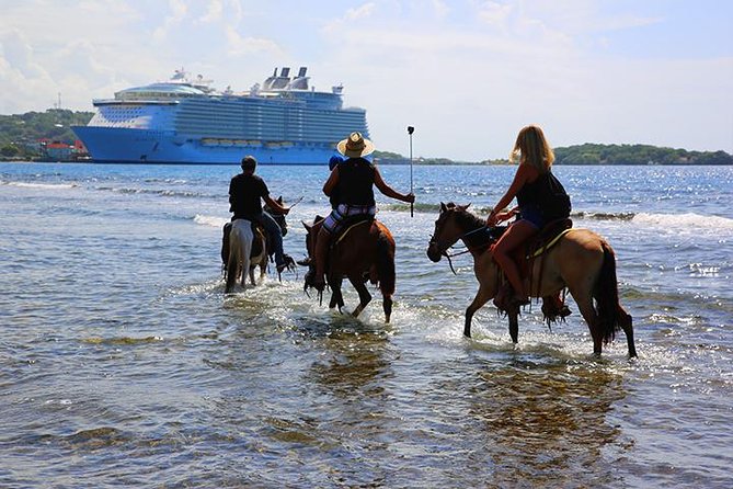 South Side Horseback Riding, Beach Break & Roundway Transfer - Booking Information