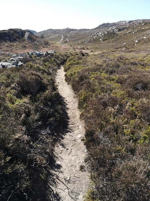 South Stack: Coastal Walking Tour with Café & History - An In-Depth Look at the Tour