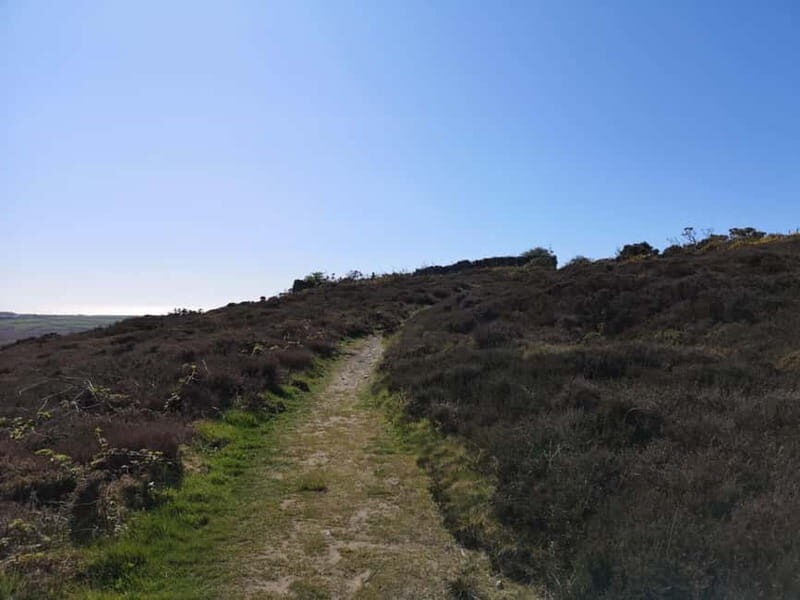South Stack: Coastal Walking Tour with Café & History - Authentic Experiences & Tips from Reviewers
