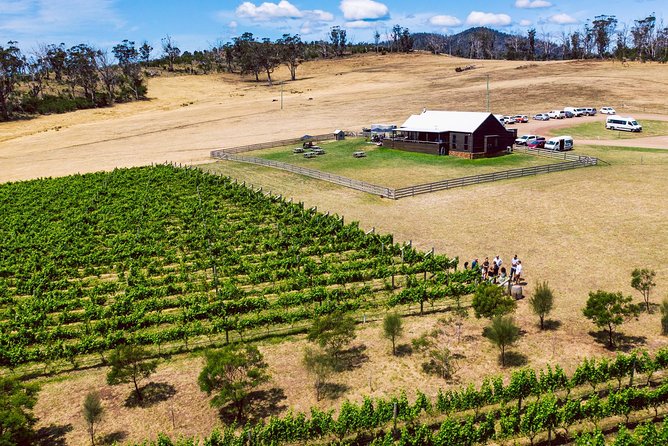 South Tasmania Full-Day Small-Group Wine Tour  - Hobart - Winery Highlights