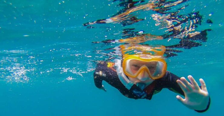 South Tenerife: Guided Snorkeling - Booking Details for Snorkeling Experience