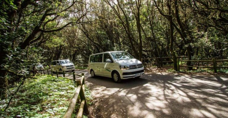 South Tenerife: San Cristóbal De La Laguna and Anaga Tour - Booking Details